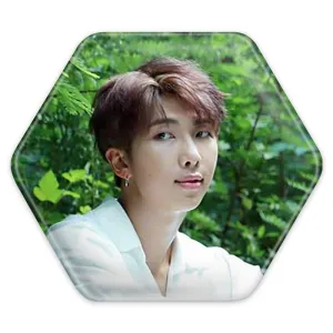 پیکسل شش ضلعی نامجون Namjoon گروه بی تی اس BTS