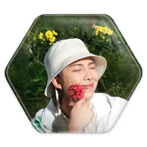 پیکسل شش ضلعی نامجون Namjoon گروه بی تی اس BTS