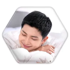پیکسل شش ضلعی نامجون Namjoon گروه بی تی اس BTS