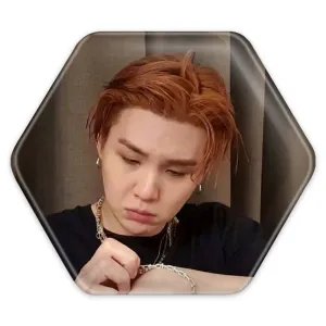 پیکسل شش ضلعی شوگا Suga گروه بی تی اس BTS