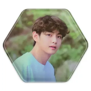 پیکسل شش ضلعی تهیونگ وی Taehyung گروه بی تی اس BTS