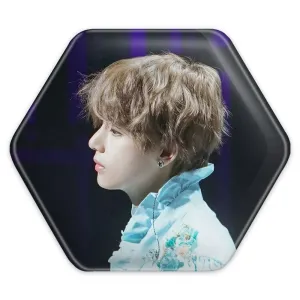 پیکسل شش ضلعی تهیونگ وی Taehyung گروه بی تی اس BTS