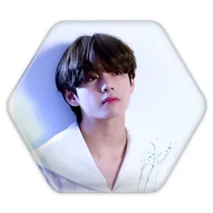 پیکسل شش ضلعی تهیونگ وی Taehyung گروه بی تی اس BTS