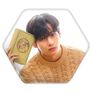 پیکسل شش ضلعی تهیونگ وی Taehyung گروه بی تی اس BTS