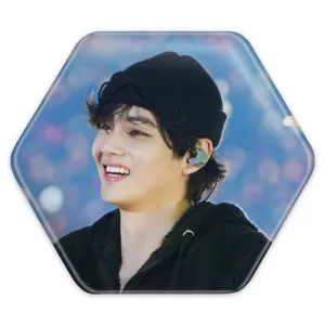 پیکسل شش ضلعی تهیونگ وی Taehyung گروه بی تی اس BTS