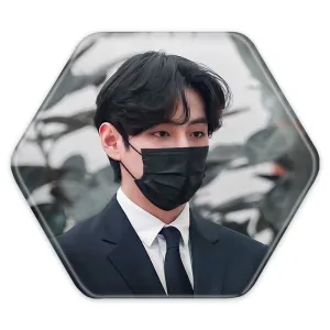 پیکسل شش ضلعی تهیونگ وی Taehyung گروه بی تی اس BTS