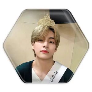 پیکسل شش ضلعی تهیونگ وی Taehyung گروه بی تی اس BTS