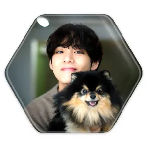 پیکسل شش ضلعی تهیونگ وی Taehyung گروه بی تی اس BTS