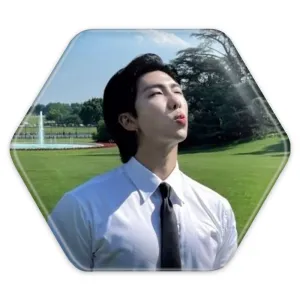 پیکسل شش ضلعی نامجون Namjoon گروه بی تی اس BTS