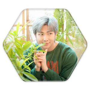 پیکسل شش ضلعی نامجون Namjoon گروه بی تی اس BTS