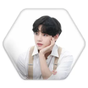 پیکسل شش ضلعی تهیونگ وی Taehyung گروه بی تی اس BTS