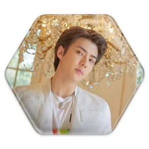 پیکسل شش ضلعی سهون گروه اکسو EXO
