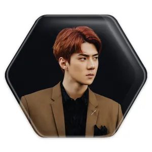 پیکسل شش ضلعی سهون گروه اکسو EXO