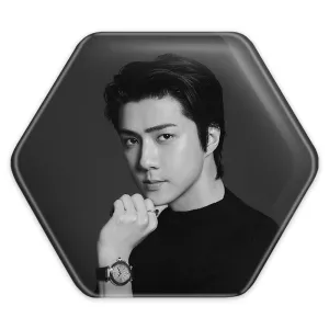 پیکسل شش ضلعی سهون گروه اکسو EXO