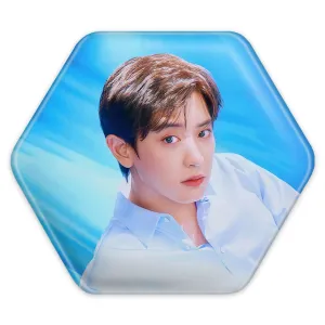 پیکسل شش ضلعی انیول گروه اکسو EXO