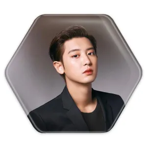 پیکسل شش ضلعی چانیول گروه اکسو EXO