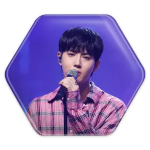 پیکسل شش ضلعی سوهو گروه اکسو EXO