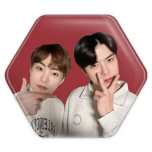 پیکسل شش ضلعی شیومین و سهون گروه اکسو EXO