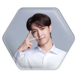 پیکسل شش ضلعی لی گروه اکسو EXO