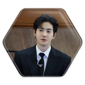 پیکسل شش ضلعی سوهو گروه اکسو EXO