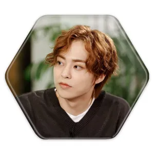 پیکسل شش ضلعی شیومین گروه اکسو EXO