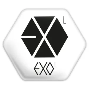 پیکسل شش ضلعی گروه اکسو EXO