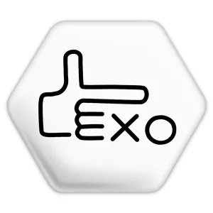 پیکسل شش ضلعی گروه اکسو EXO