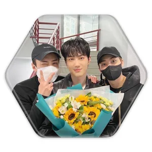 پیکسل شش ضلعی سهون و سوهو و شیومین گروه اکسو EXO
