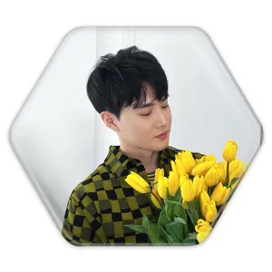 پیکسل شش ضلعی سوهو گروه اکسو EXO