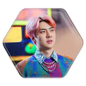 پیکسل شش ضلعی سهون گروه اکسو EXO