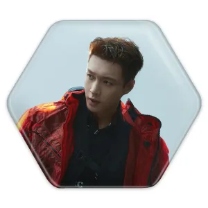 پیکسل شش ضلعی لی گروه اکسو EXO