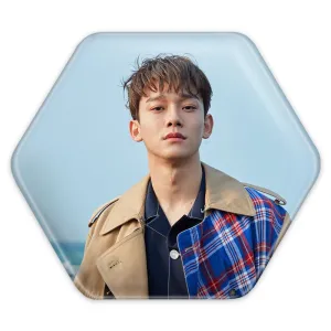 پیکسل شش ضلعی چن گروه اکسو EXO
