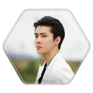 پیکسل شش ضلعی سهون گروه اکسو EXO