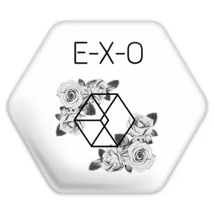 پیکسل شش ضلعی گروه اکسو EXO