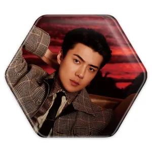 پیکسل شش ضلعی سهون گروه اکسو EXO
