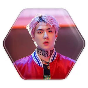 پیکسل شش ضلعی سهون گروه اکسو EXO