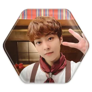 پیکسل شش ضلعی شیومین گروه اکسو EXO