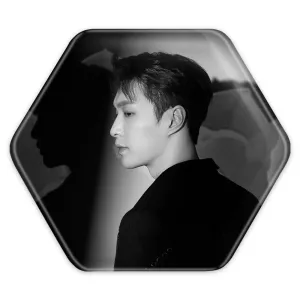 پیکسل شش ضلعی لی گروه اکسو EXO