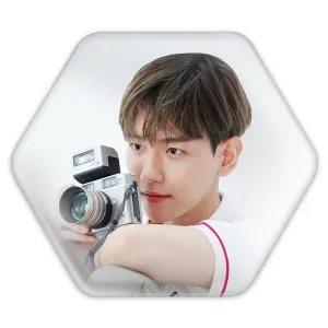 پیکسل شش ضلعی بکهیون گروه اکسو EXO