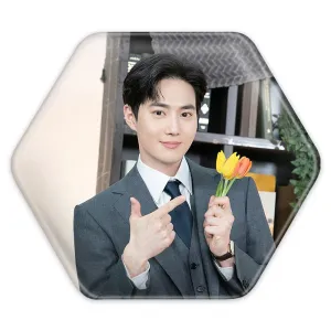 پیکسل شش ضلعی سوهو گروه اکسو EXO