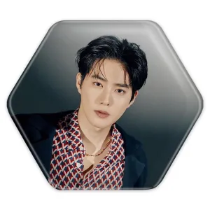 پیکسل شش ضلعی سوهو گروه اکسو EXO