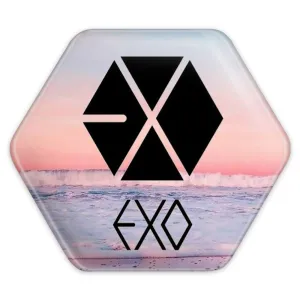 پیکسل شش ضلعی گروه اکسو EXO