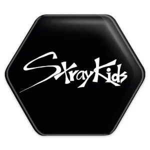 پیکسل شش ضلعی گروه استری کیدز Stary Kids