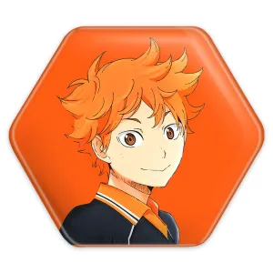 پیکسل شش ضلعی کاگیاما و هیناتا انیمه هایکیو Haikyu