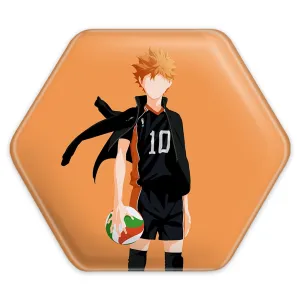 پیکسل شش ضلعی هیناتا شویو انیمه هایکیو Haikyu