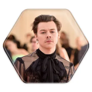 پیکسل شش ضلعی هری استایلز گروه موسیقی وان دایرکشن One Direction