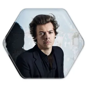 پیکسل شش ضلعی هری استایلز گروه موسیقی وان دایرکشن One Direction