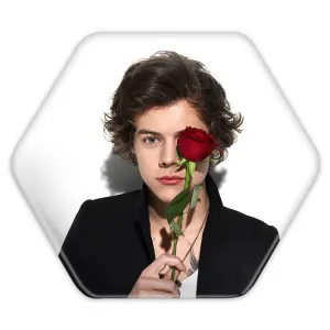 پیکسل شش ضلعی هری استایلز گروه موسیقی وان دایرکشن One Direction