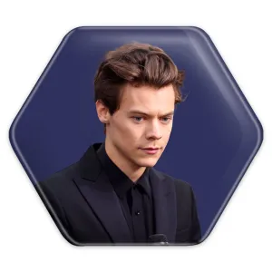 پیکسل شش ضلعی هری استایلز گروه موسیقی وان دایرکشن One Direction