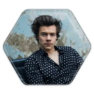 پیکسل شش ضلعی هری استایلز گروه موسیقی وان دایرکشن One Direction